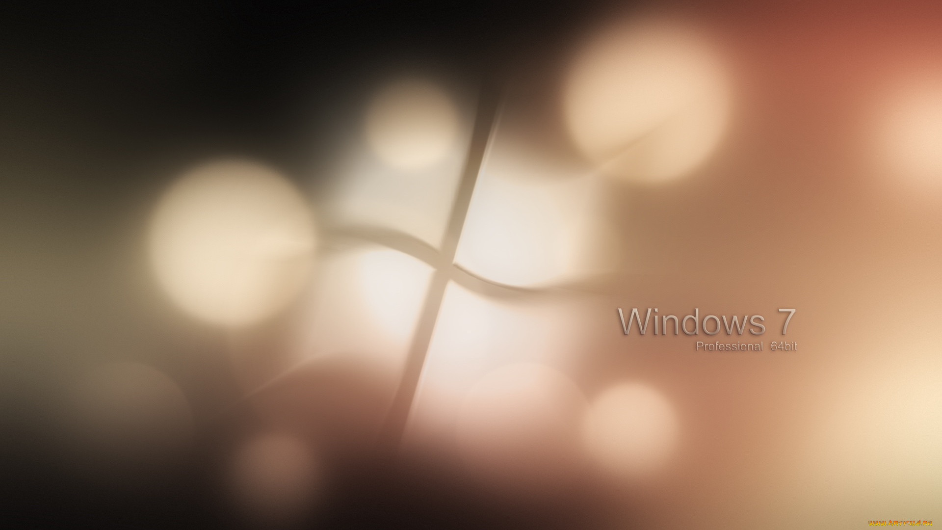 , windows, vienna, , 
